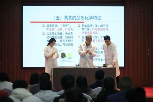 非遺活態(tài)傳承新篇章 黔北黃茶技藝選定黔東南代言人，推動(dòng)茶文化深度交流