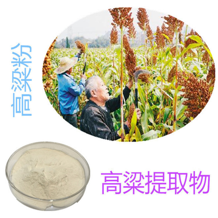 斯諾特生物 深耕植物提取物研發(fā)，以高粱提取物為核心打造健康產(chǎn)品矩陣