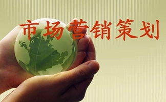 市場營銷策劃 成功品牌的戰(zhàn)略藍圖