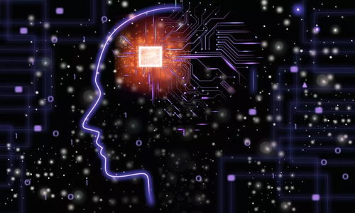 人工智能公司的發(fā)展現(xiàn)狀與軟件開發(fā)應(yīng)用透視